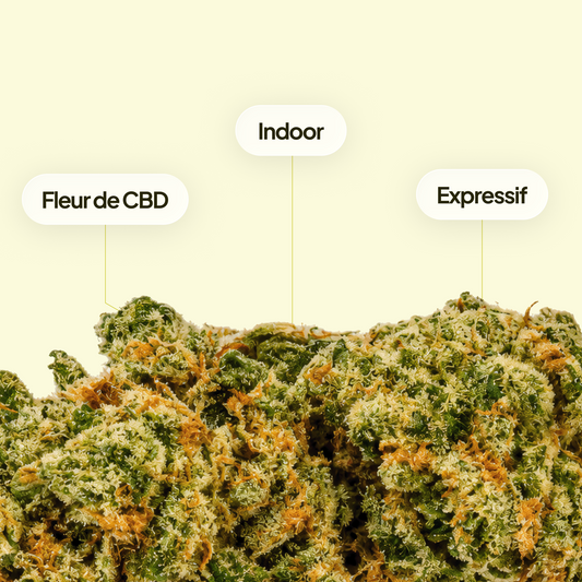 Lemon Haze