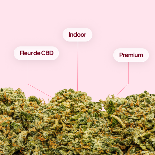Runtz