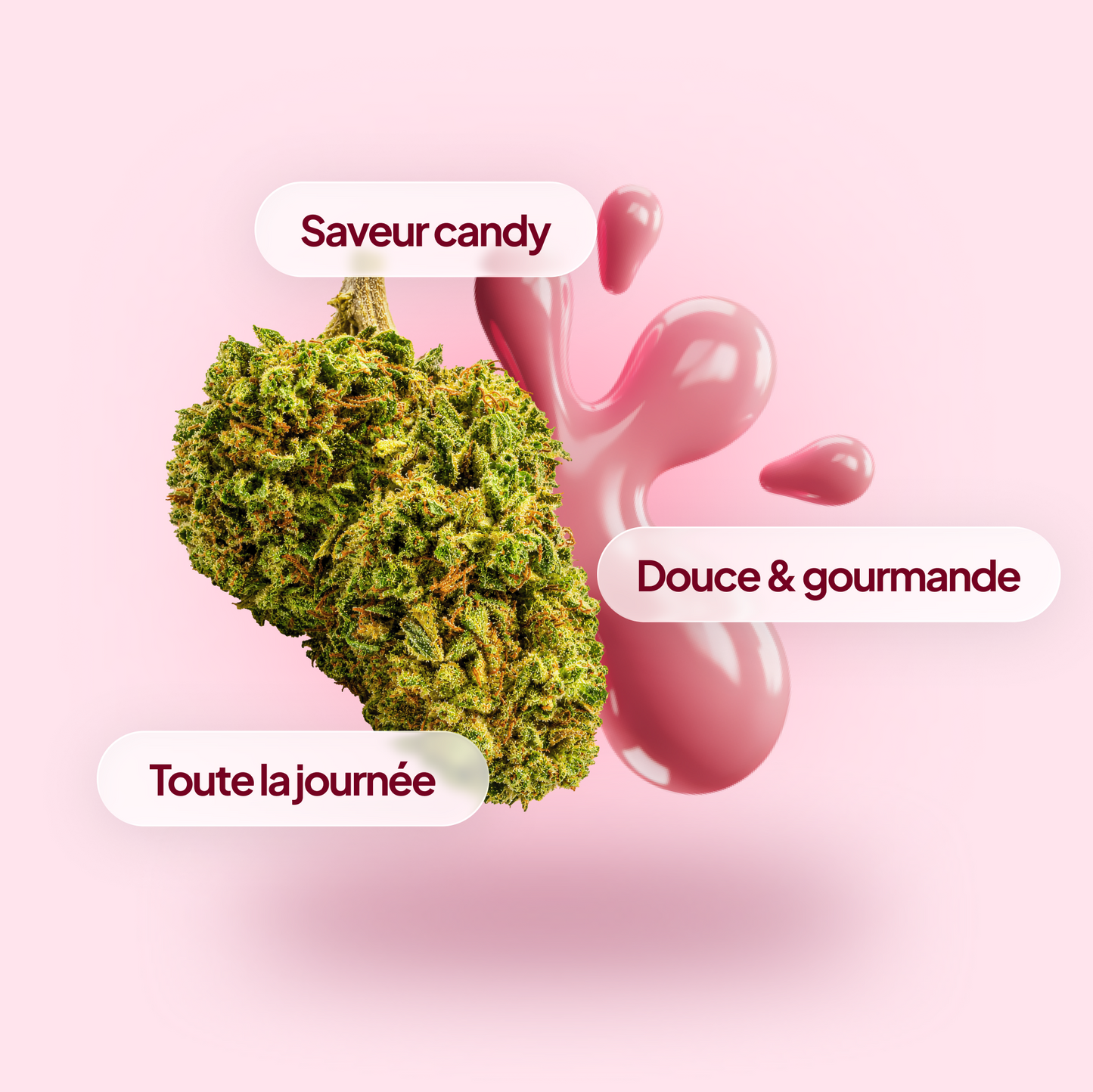 Bubble Gum