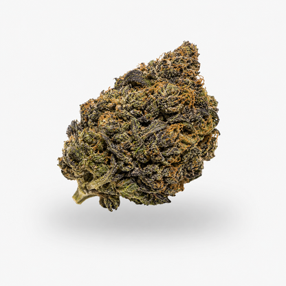 Gelato
