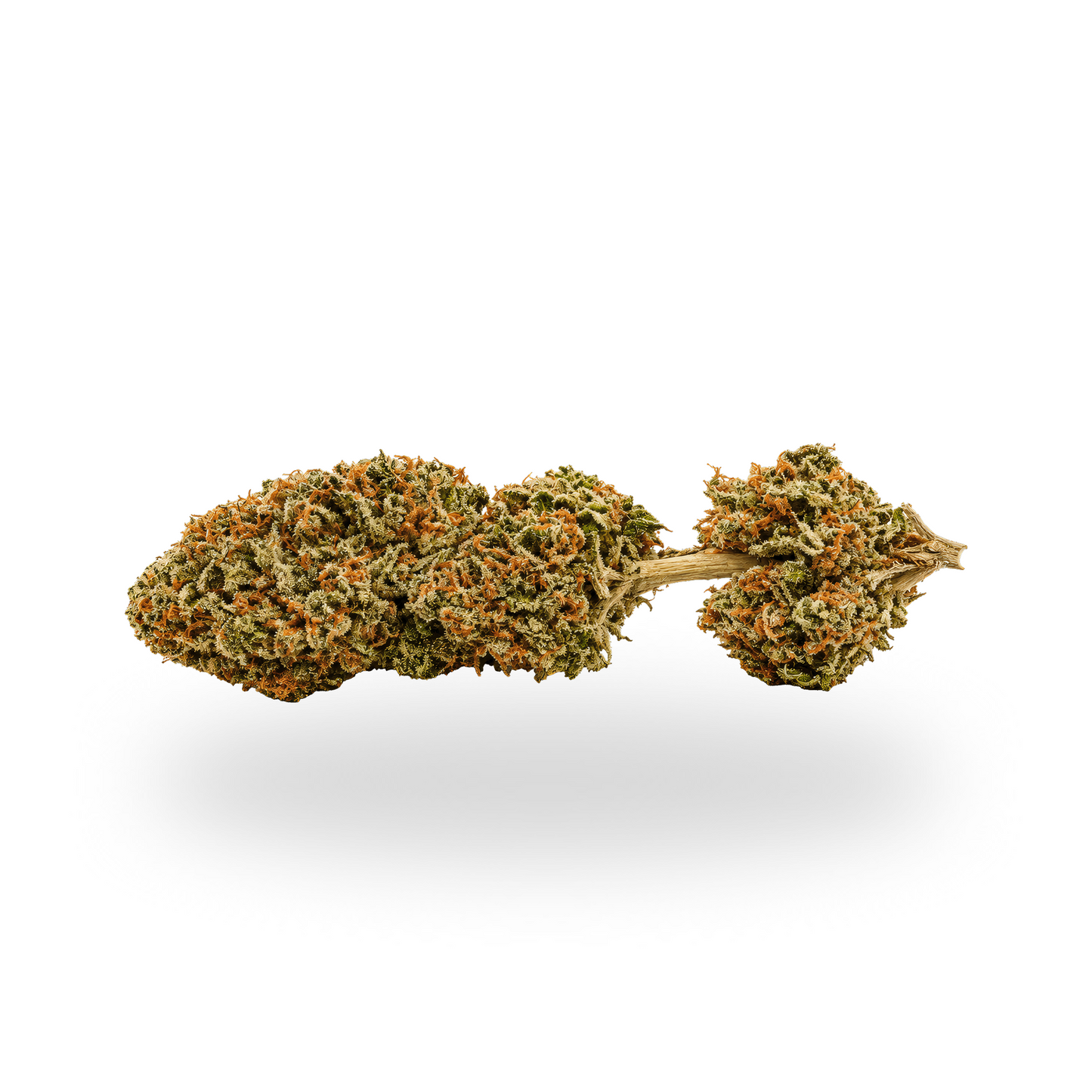Gelato