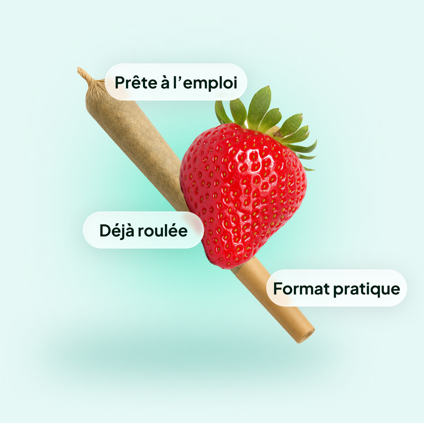 Pré-roulée