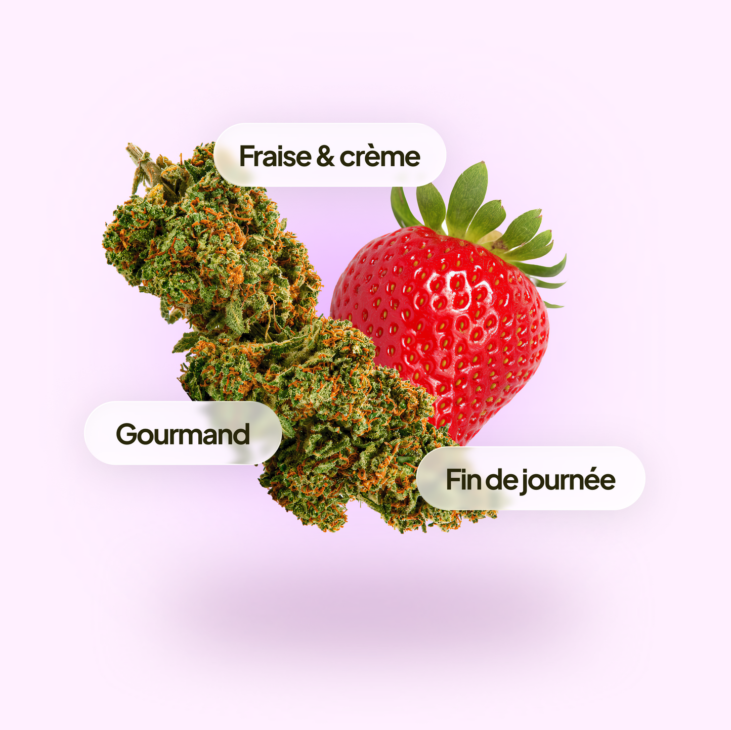 Strawberry Cake
